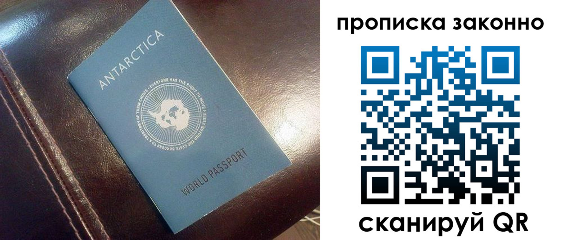 прописка в квартире в Мурино
